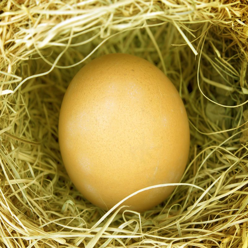 Welke Vogel Legt Welk Ei: Ontdek De Diversiteit! - Welke Vogel Legt Welk Ei