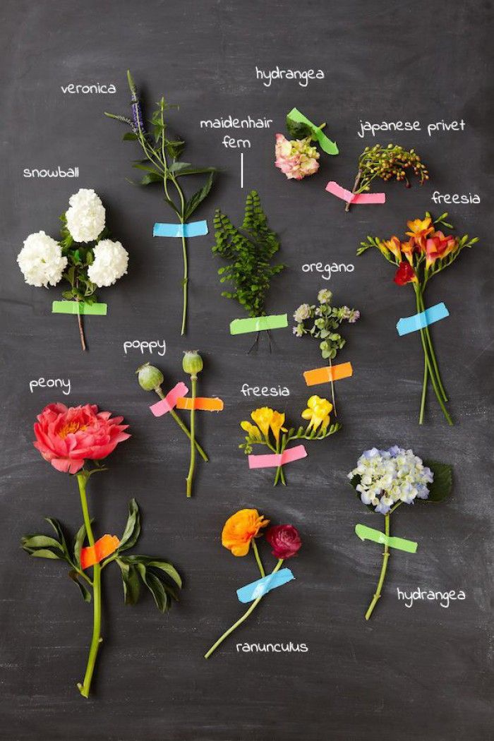 Soorten Bloemen Namen Van A Tot Z