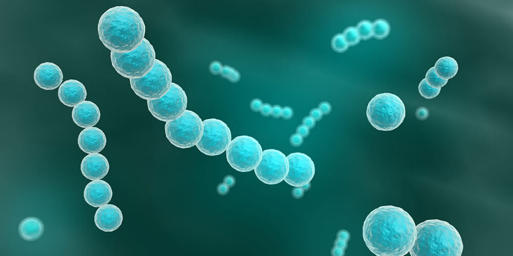Wenn Streptokokken krank machen | Apotheken Umschau - Streptokokken Bacterie In Het Bloed