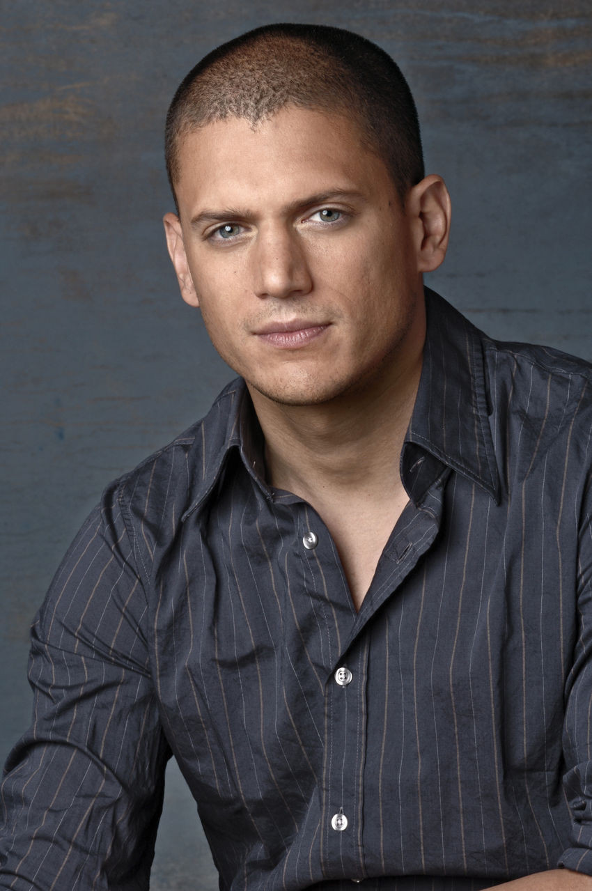 Wentworth Miller - Arrowverse Wiki - Wentworth Miller Films En Tv Programma's