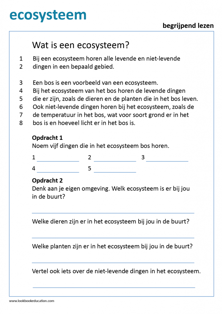 Werkblad Begrijpend Lezen Ecosysteem - Lookbook Education Basisschool - Werkbladen Begrijpend Lezen Groep 4