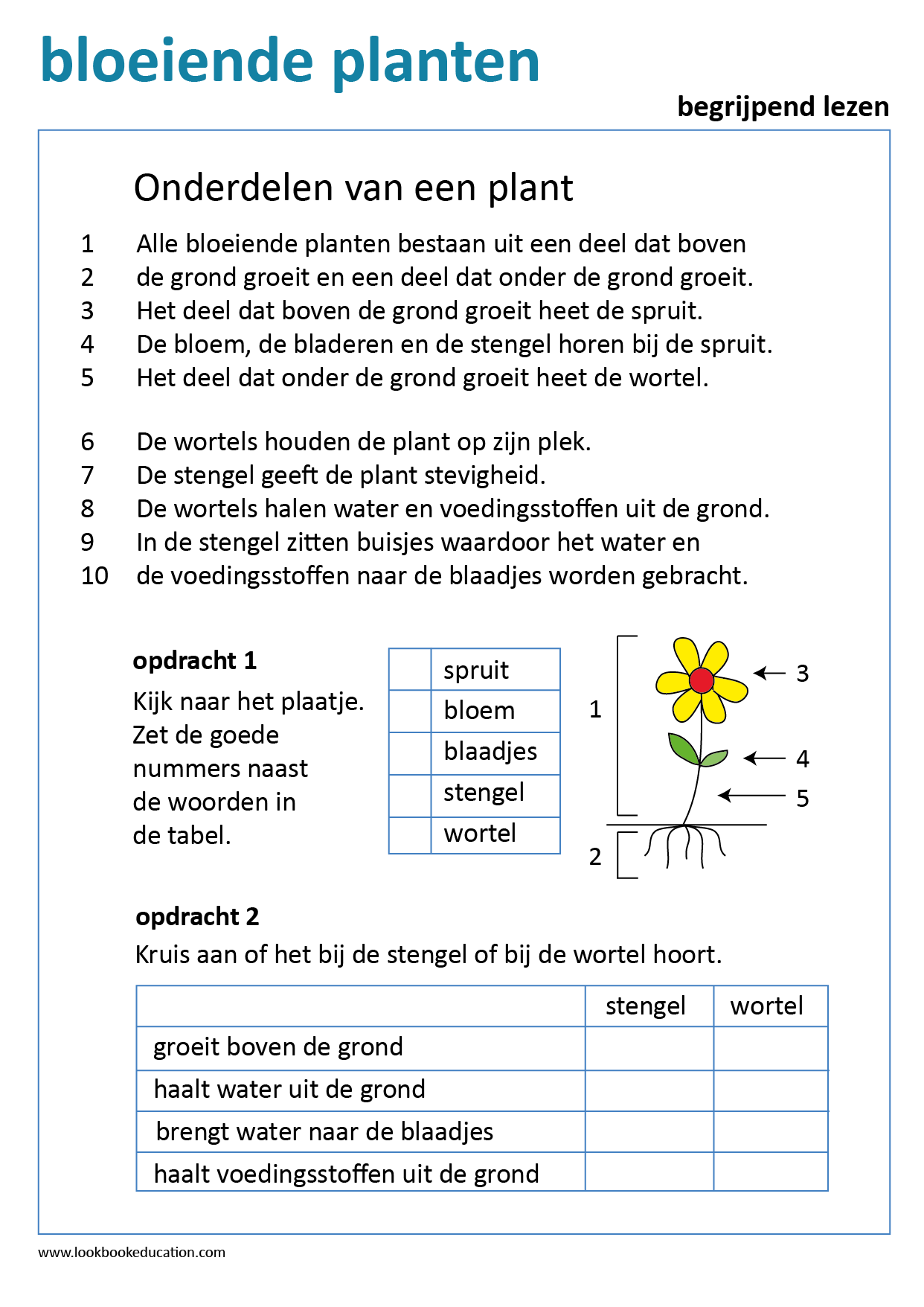 Werkblad Begrijpend Lezen Noordpool - Lookbook Education Basisschool - Begrijpend Lezen Groep 7 Oefenen