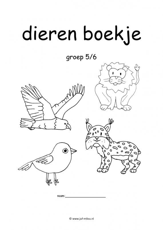 Werkboekje dieren Morning Work, Craft Activities For Kids, Colouring - Werkboekje Groep 3 Zelfstandig Werken