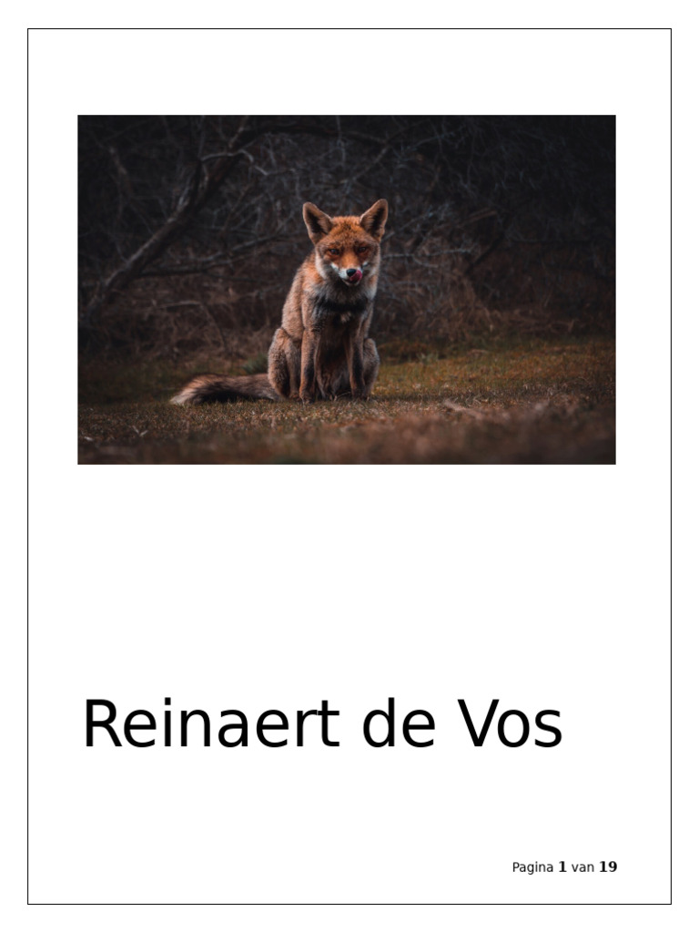 Werkbundel Reinaert de Vos | PDF - Reinaert De Vos Holland Opera