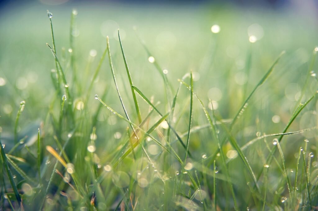 wet | English for the Planet - Wet Vereenvoudiging En Modernisering Bewijsrecht