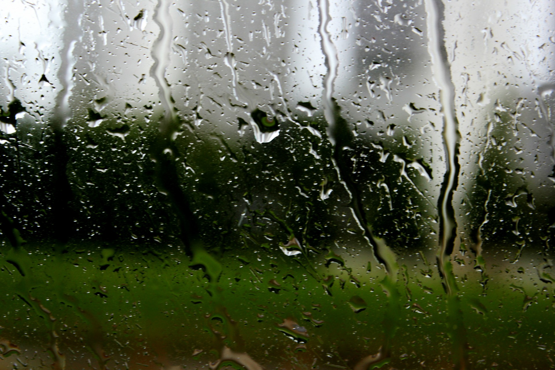 Wet Zorg En Dwang Betekenis