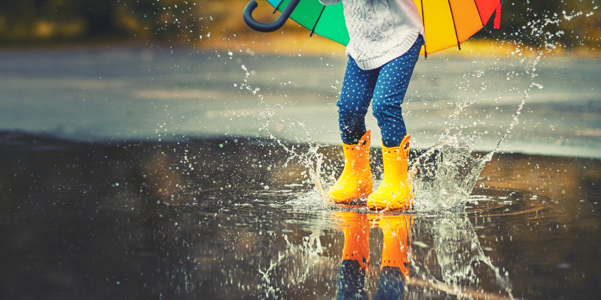 Wet Wapens En Munitie Categorie 2