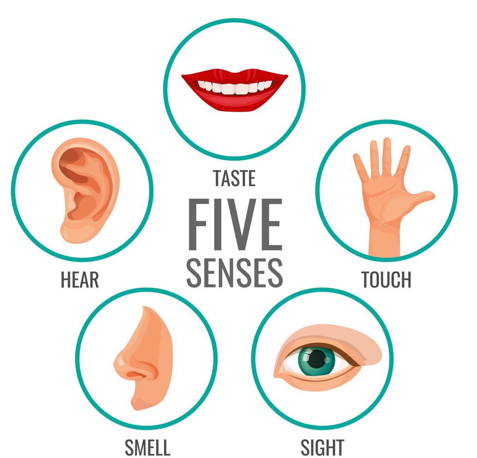 What Are My 5 Senses - Design Talk - Sense Of An Ending The