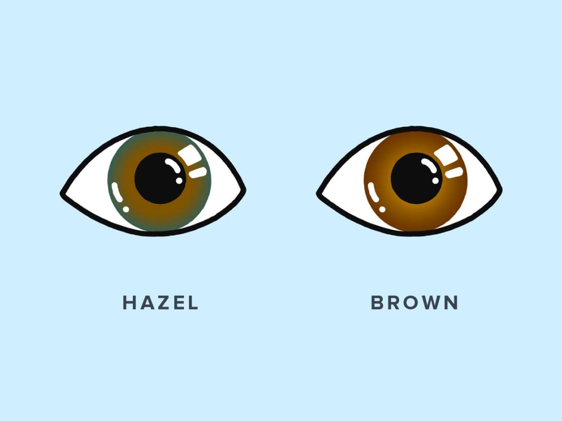 What Color Are Hazel Eyes? | Warby Parker - Hazel Grace The Fault In Our Stars