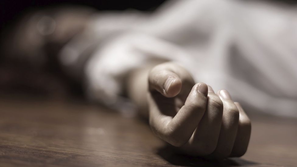 What happens to our bodies after we die - BBC Future - Die Verwandlung Von Franz Kafka