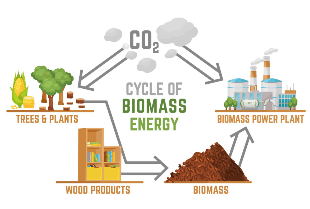 Wanneer Is Biomassa Een Duurzame Energiebron