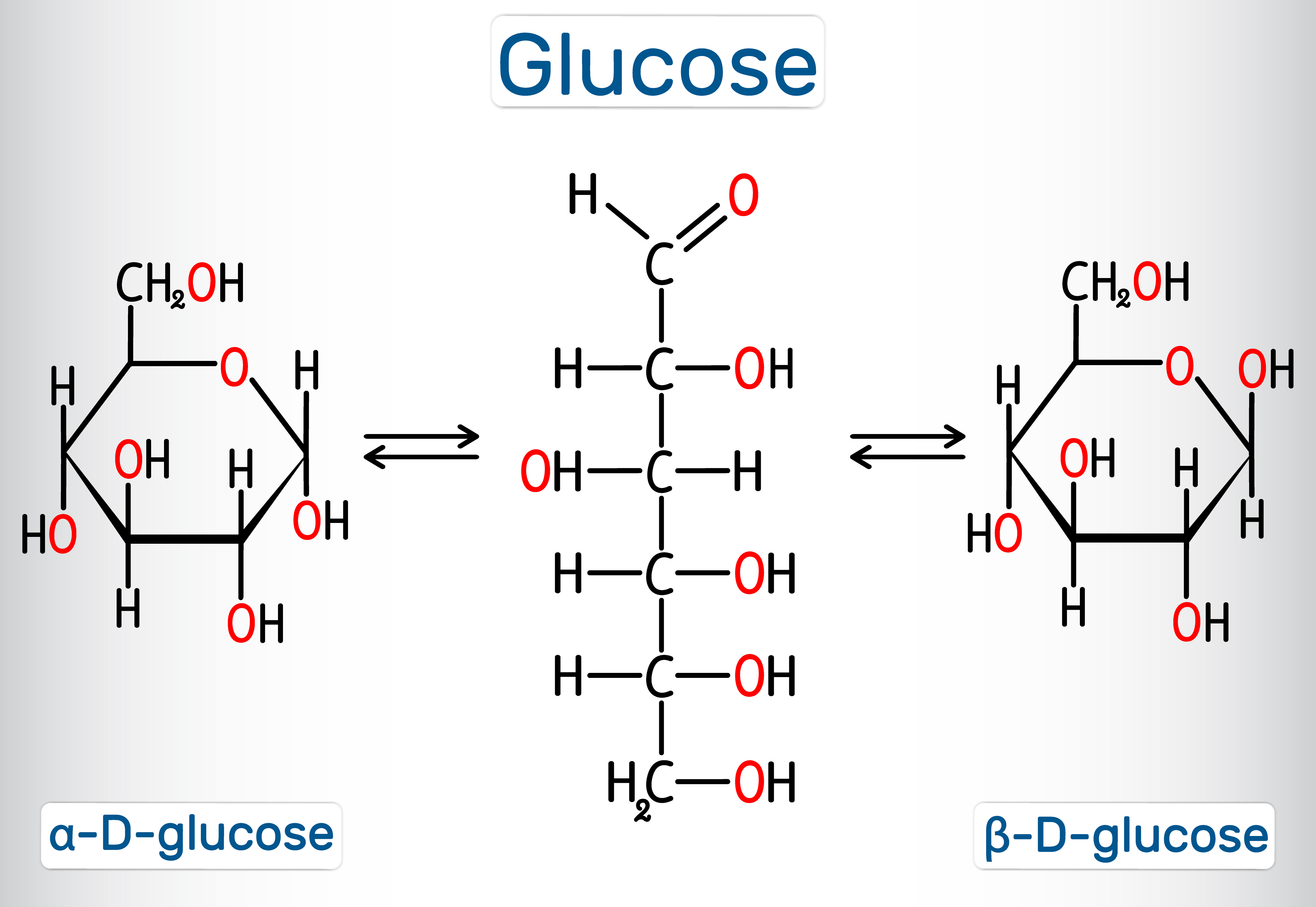What is Biomolecules - Definition of Biomolecules, Notes, Examples, Books - Glucose In Urine Bij Blaasontsteking
