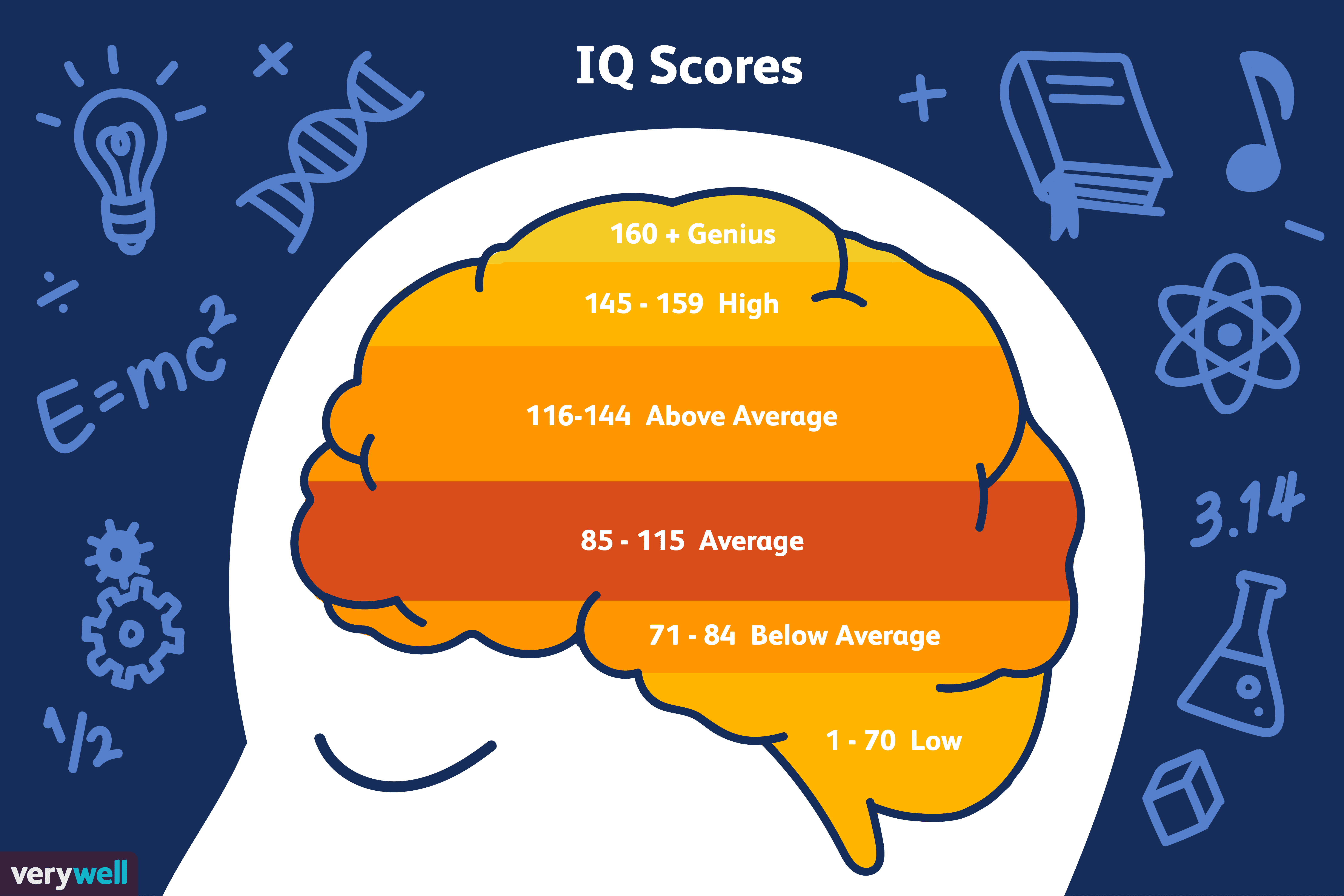 What Is Considered a Genius IQ Score? - Wat Is Een Goed Iq