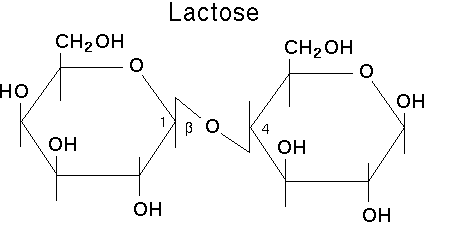 What is lactose intolerance? - Lactose Intolerantie Op Latere Leeftijd