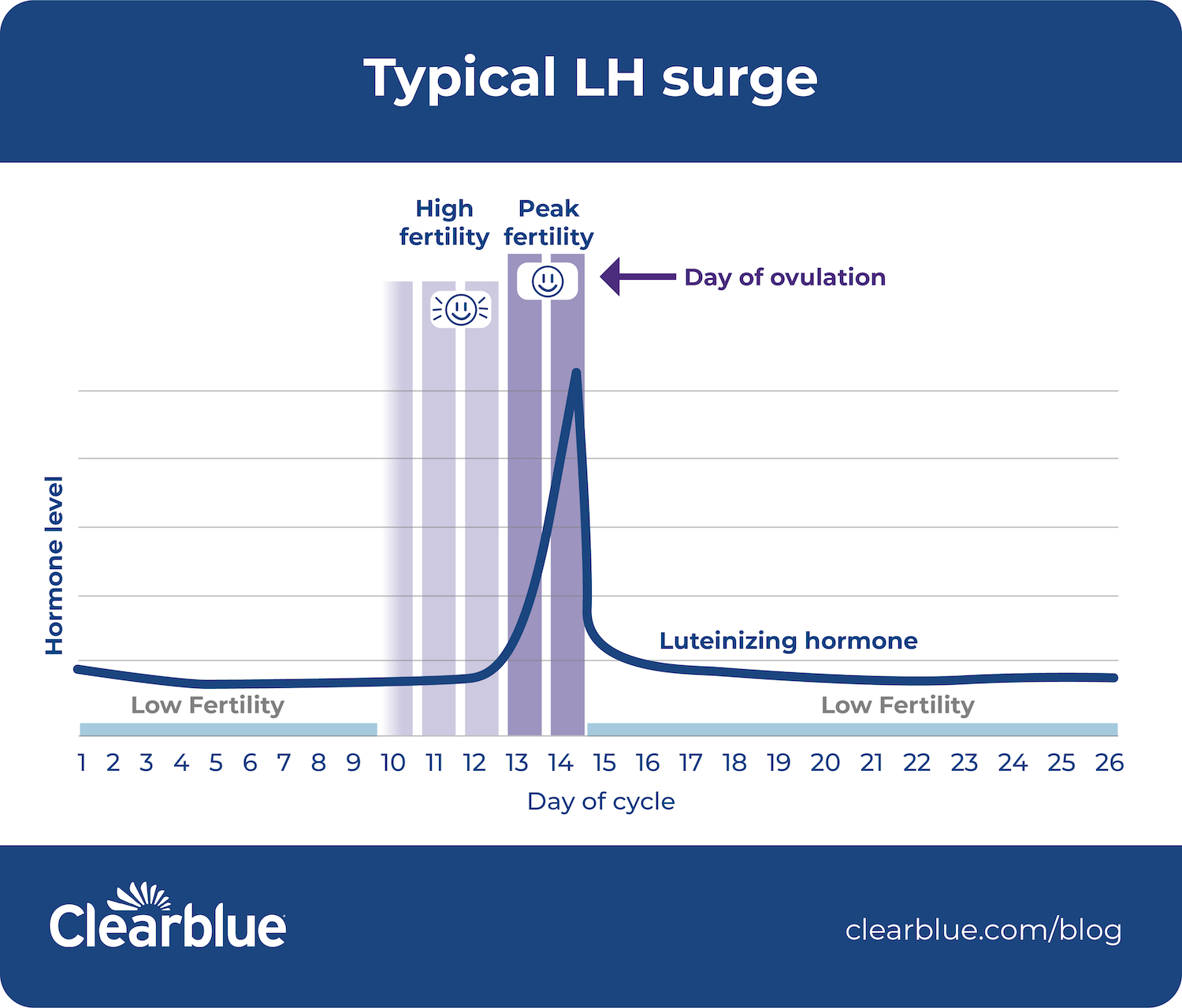 What is luteinizing hormone? — Clearblue® - Lh Hormoon Te Hoog Man