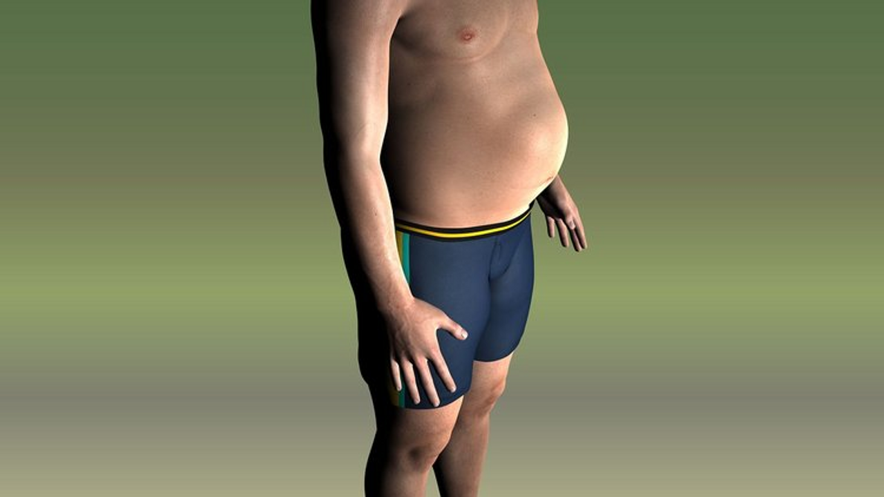 What is SIBO? Part 1: Symptoms and Causes - Myoom Dikke Buik Door Vleesboom