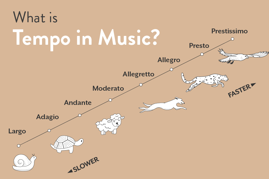 What is Tempo in Music? Definition, Markings & Examples - Tempo Team Inloggen T Point