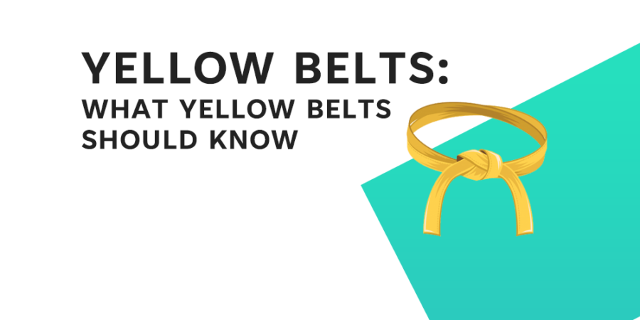 What Lean Six Sigma Yellow Belts Should Know » Learn Lean Sigma - Yellow Belt Wat Is Dat