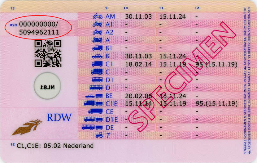 Where can I find my citizen service number on my Dutch driving licence - Wat Staat Er Op Je Rijbewijs