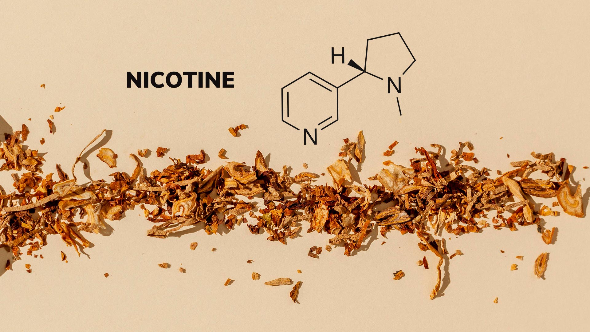 Where Does Nicotine Come From? - Wanneer Is Nicotine Uit Je Lichaam