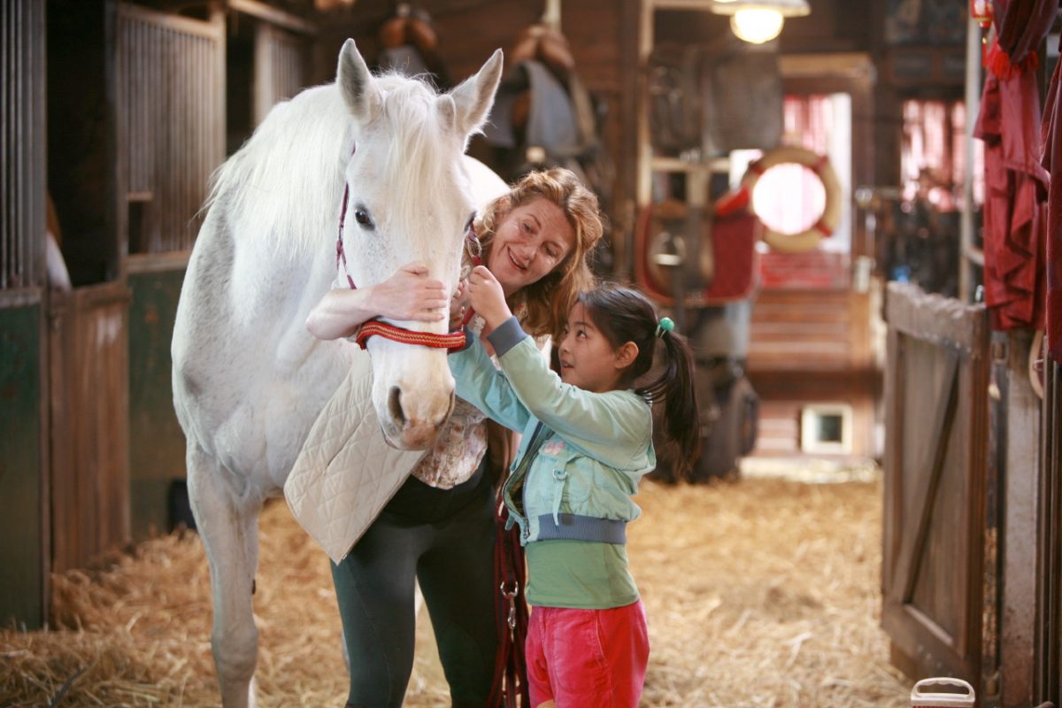 WHERE IS WINKY'S HORSE? - Eyeworks Film & TV Drama - Waar Is Het Paard Van Sinterklaas