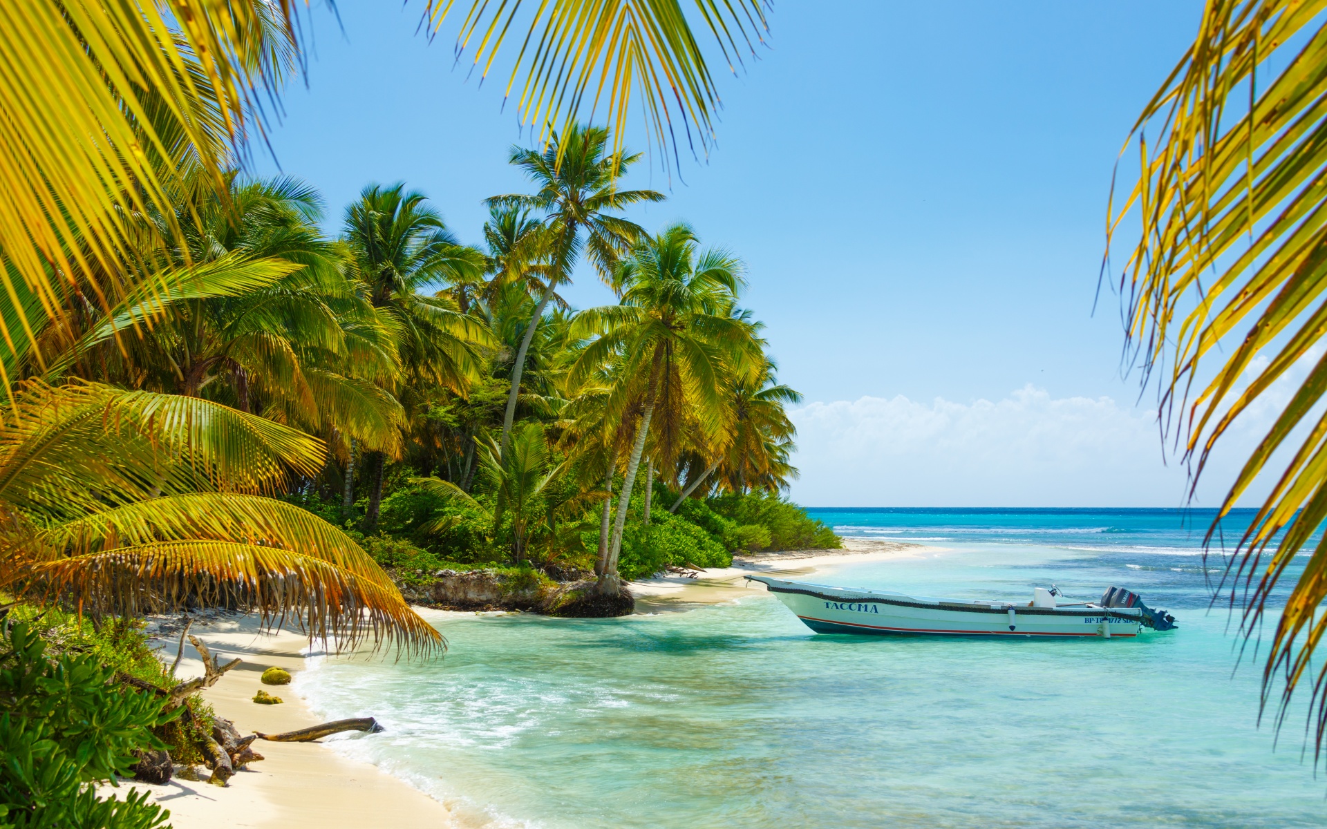 Which Caribbean Island to Visit | Your Vacation Guide - Eiland In De Caribische Zee 5 Letters