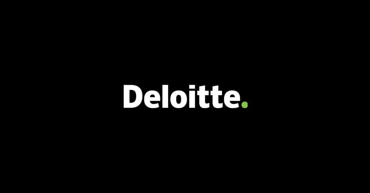 Deloitte Handboek Externe Verslaggeving 2024