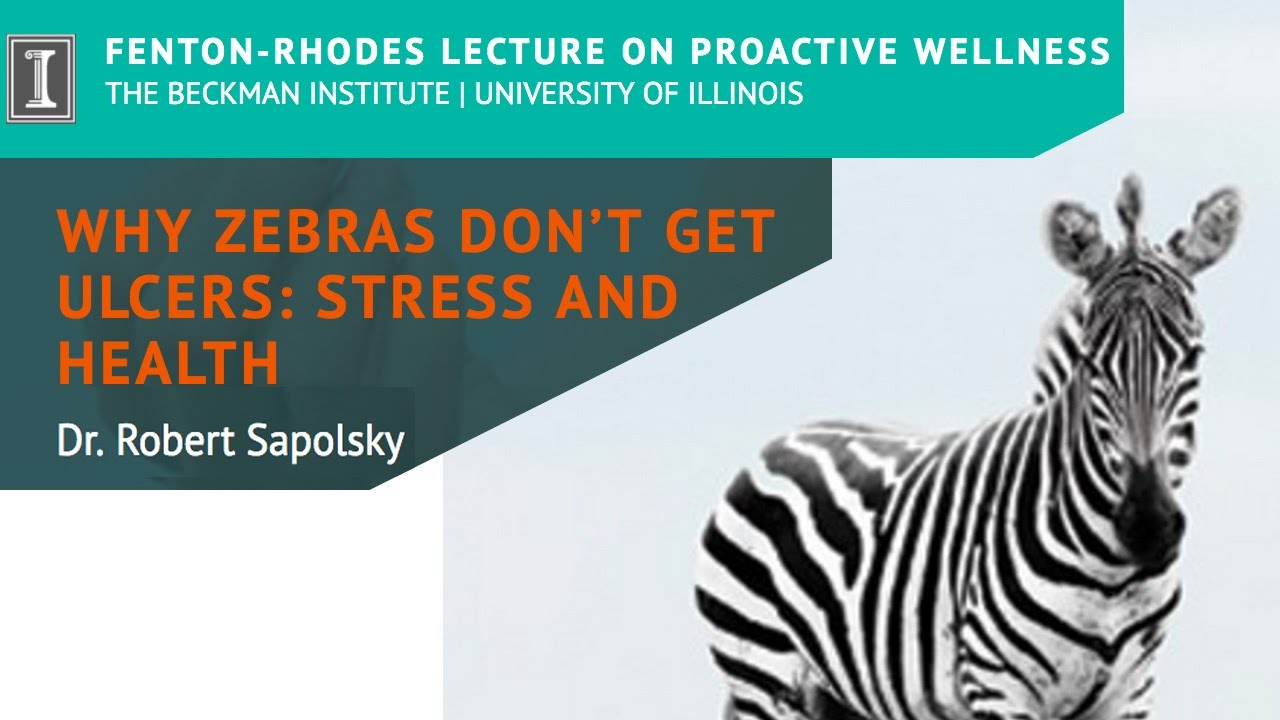 Sapolsky Why Zebras Don't Get Ulcers