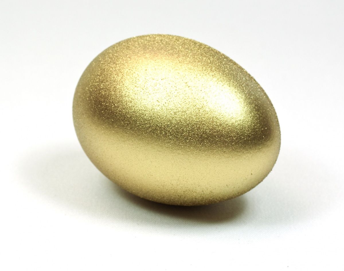 Wie vindt het Gouden Ei? Egg Photo, Golden Egg, Touch Of Gold, All That - Waar Gaat Het Gouden Ei Over