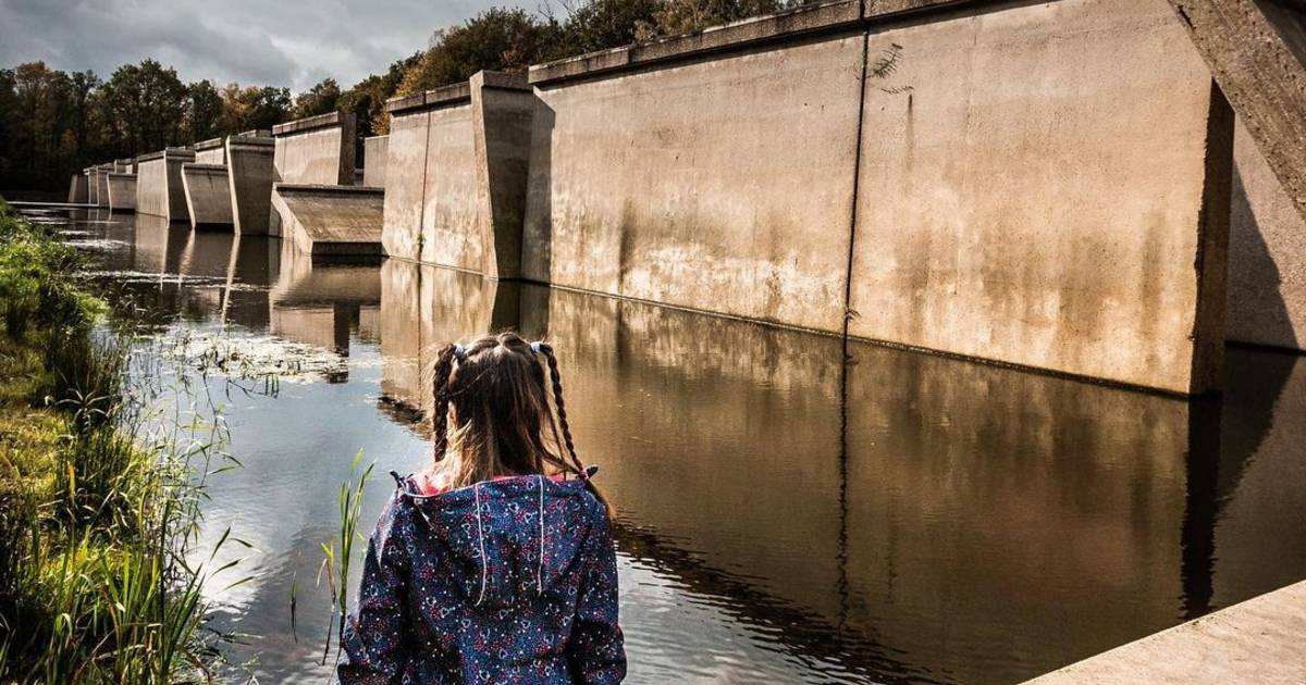 Wie zet Waterloobos in Marknesse dit najaar het mooist op de foto - Het Weer In Marknesse