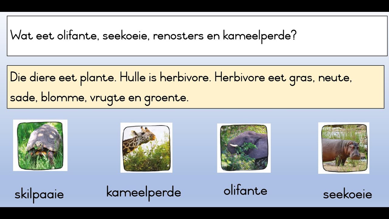 Wilde diere 3 (Herbivore en karnivore) - YouTube - Dier Of Plant Levend Ten Koste Van Anderen
