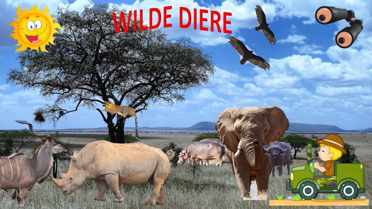 Een Dier Met Een D
