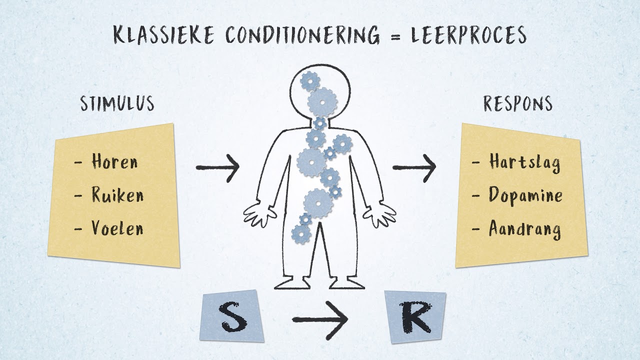 Windesheim kennisclip - Klassieke Conditionering - YouTube - Verschil Klassieke En Operante Conditionering