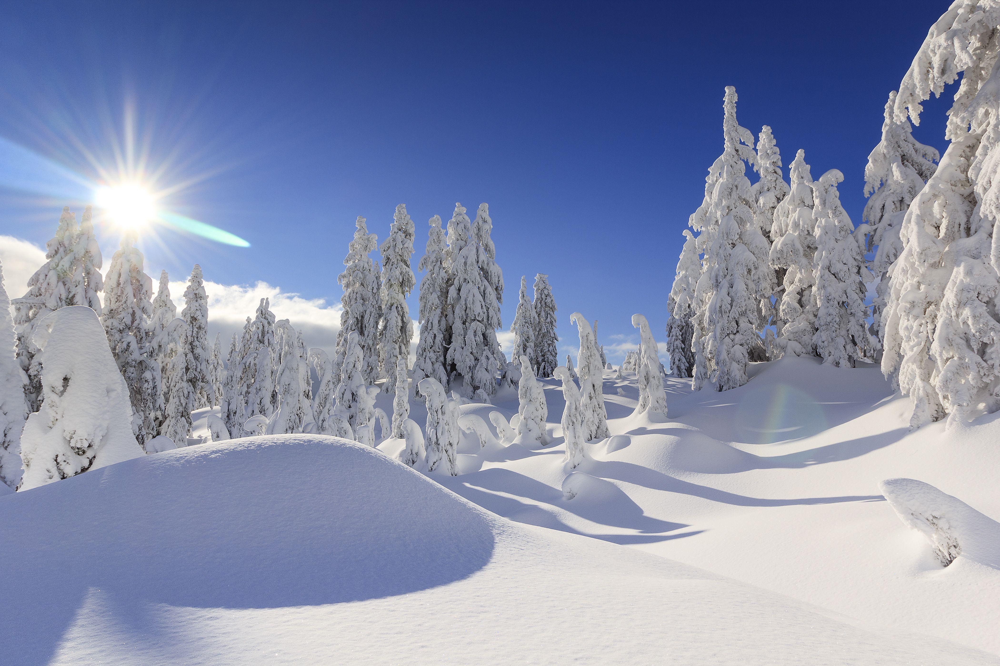 Winter Snow 4K Wallpapers - Top Free Winter Snow 4K Backgrounds - Snow White And The Huntsman 2012