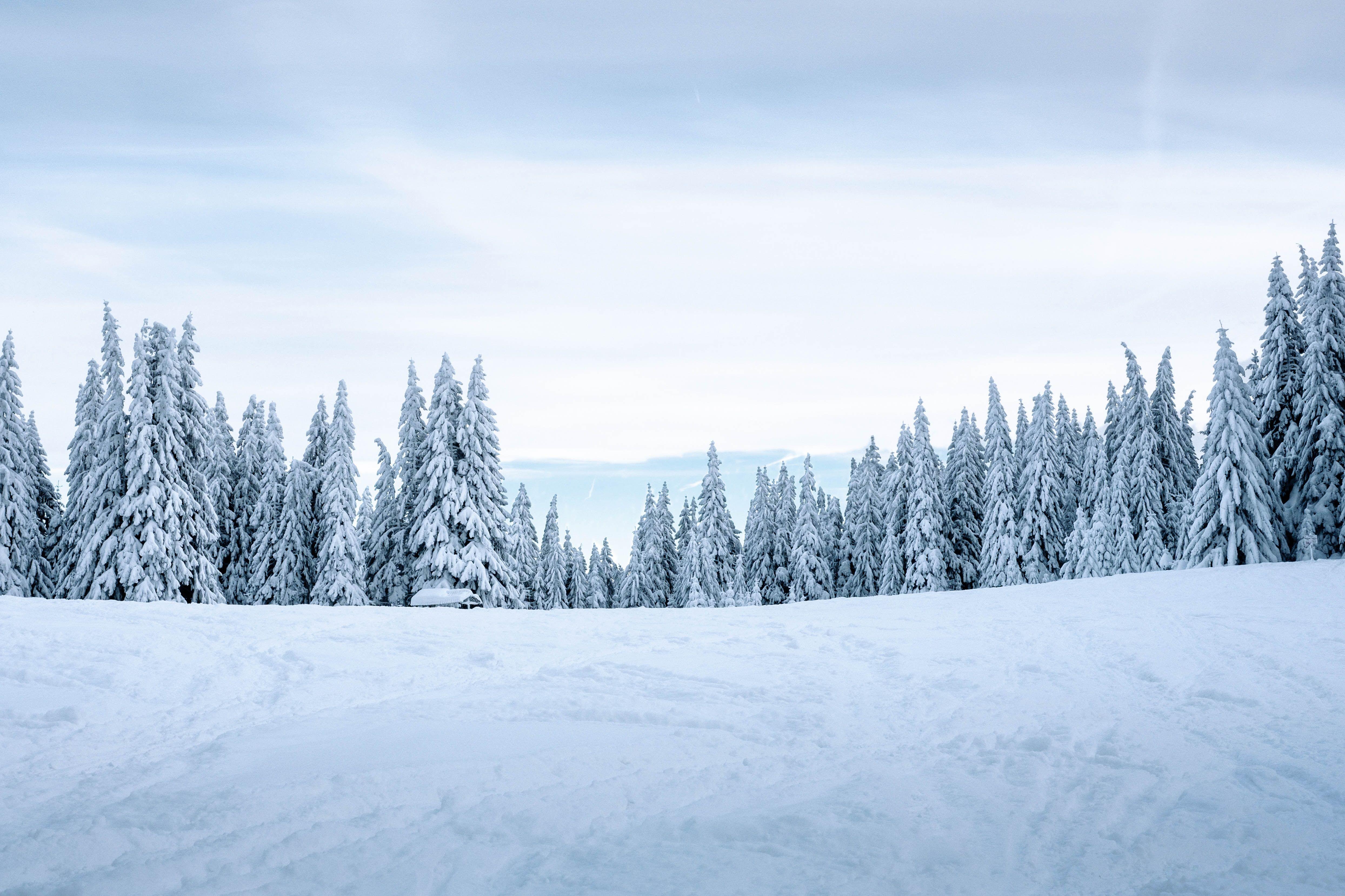 Snow And White And The Huntsman