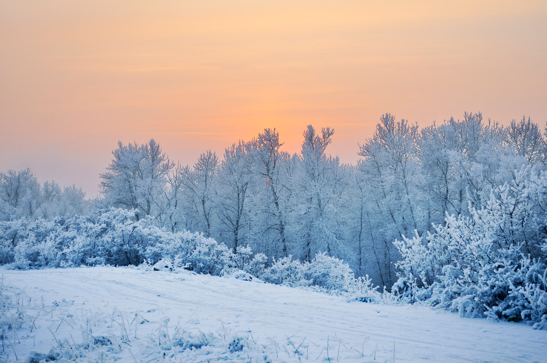 Winter Sunset Free Stock Photo - Public Domain Pictures - Winter Royale 2023 Fortnite Date