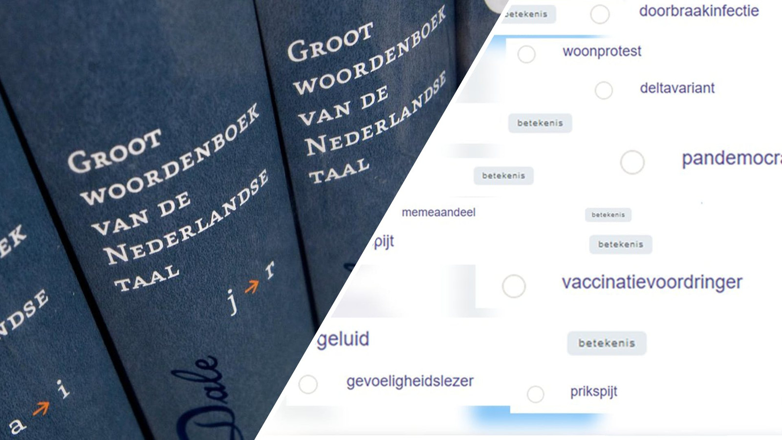 Woord van het jaar: weet jij deze woorden nog? | Foto | AD.nl - Woord Van Het Jaar 2021
