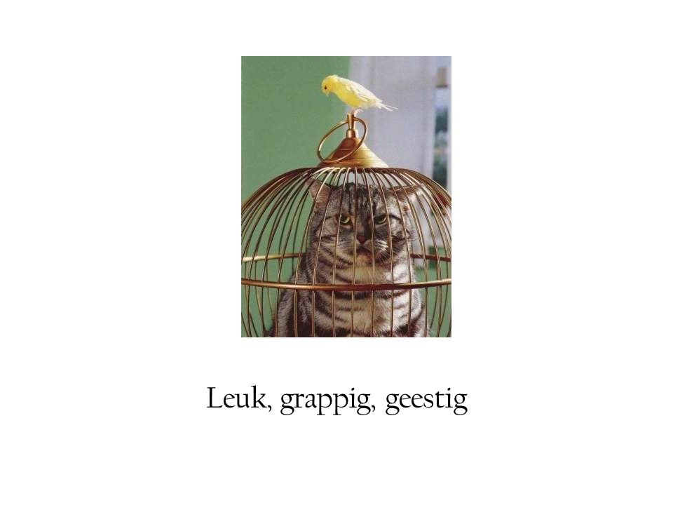 Woordenschat Hoofdstuk 7 en 8. De vegetariër Iemand die geen vlees eet - Hoe Heet Iemand Die Geen Vlees Eet 10 Letters