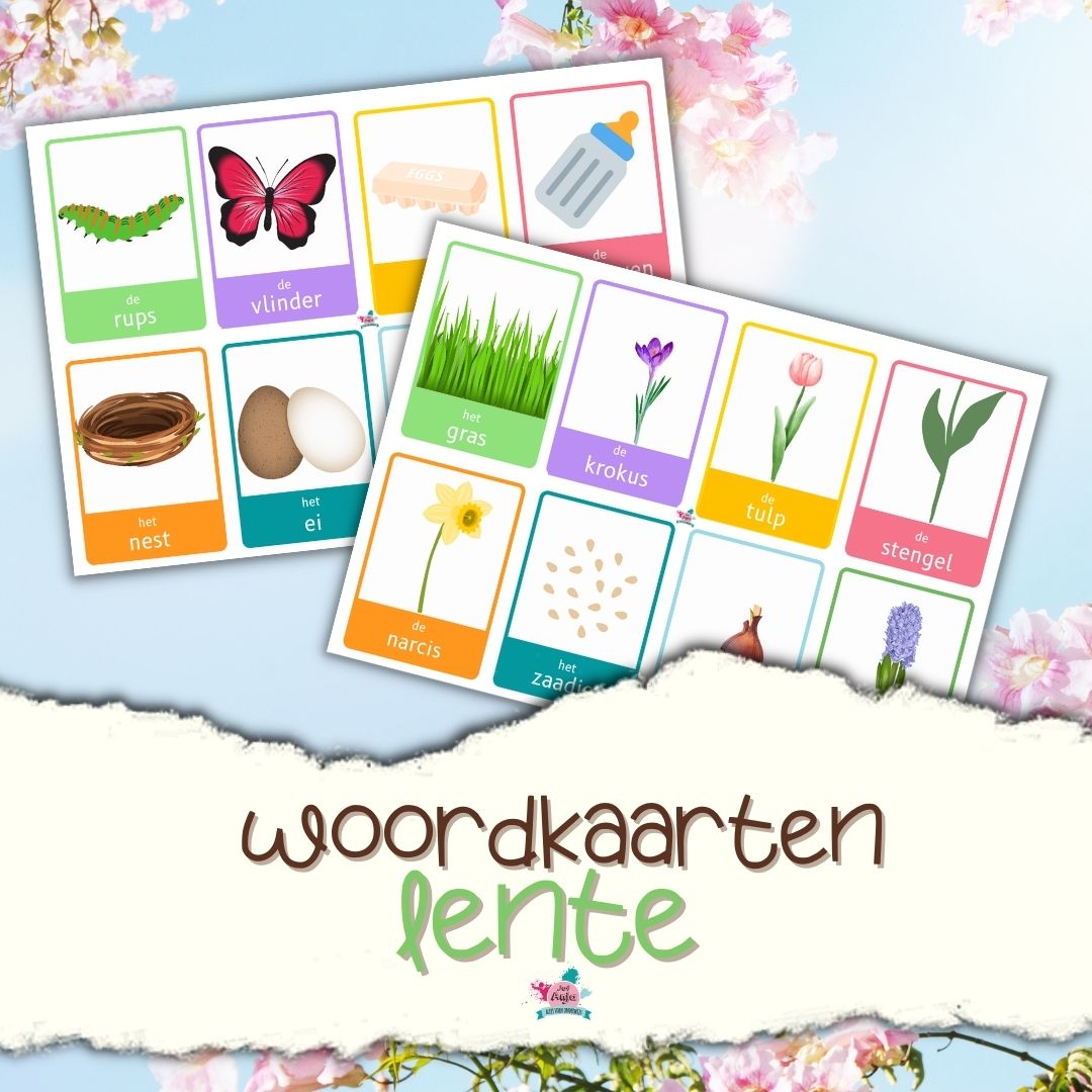 Woordenschat Taal Actief Groep 8