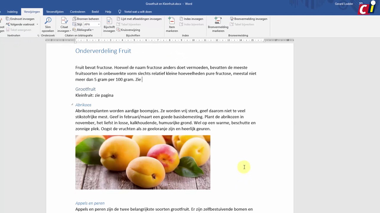 Word: werken met kruisverwijzingen - YouTube - Verwijzen Naar Bijlage In Tekst