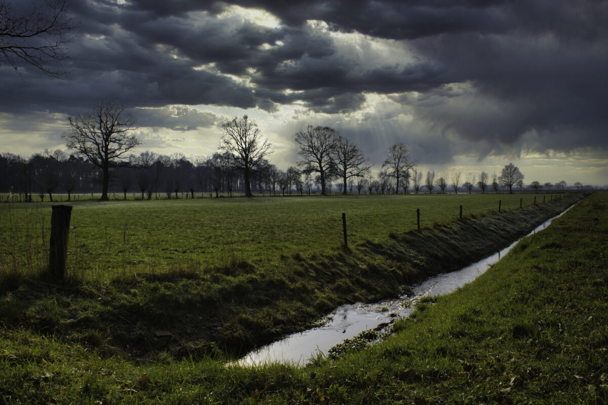 Yes, it happened: it rained too much for the Netherlands | DutchReview - Waarom Zoveel Regen In Nederland