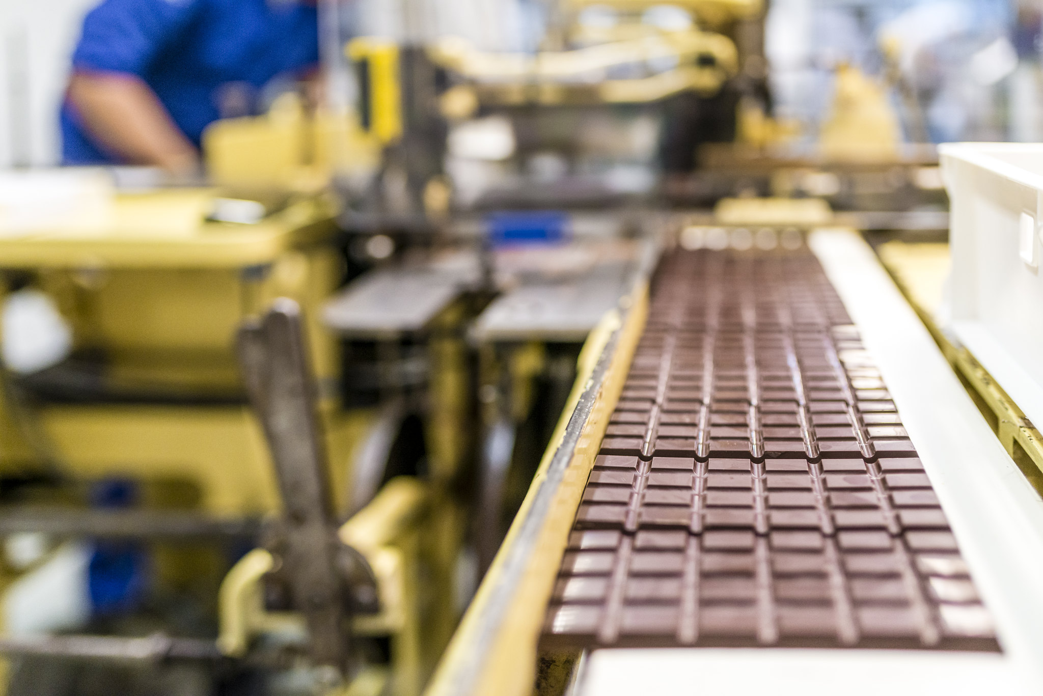 You can soon visit a real chocolate factory in the Netherlands - Anne - Waar Kan Je Sjakie En De Chocoladefabriek Op Kijken 2023