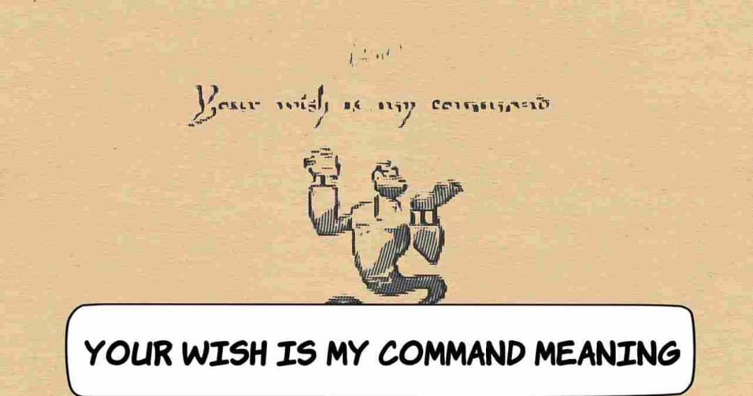 Your Wish is My Command | Meaning - Your Wish Is My Command