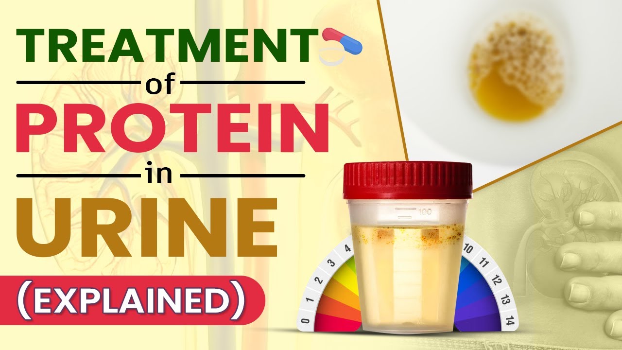 - YouTube - Wat Betekent Eiwit In Urine