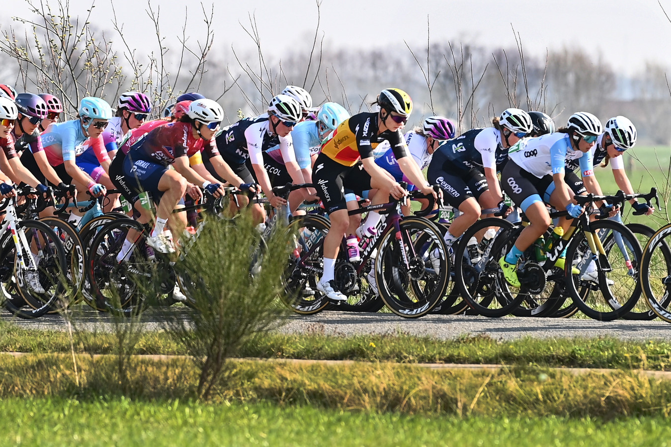 Zes Nederlandse ploegen naar Tour de France voor vrouwen | Foto | AD.nl - Ploegen In De Tour De France
