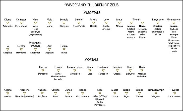 How Many Sons Did Zeus Have
