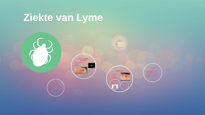 Ziekte van Lyme by Emily Gordon on Prezi - Wat Voor Ziekte Heeft Gordon