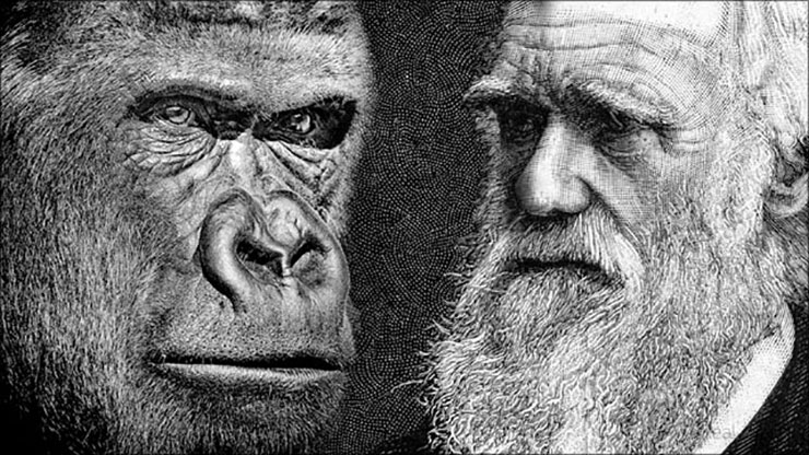 Zijn er bewijzen voor de evolutietheorie? - Hoe Heet De Man Die De Evolutietheorie Vooral Heeft Ontwikkeld