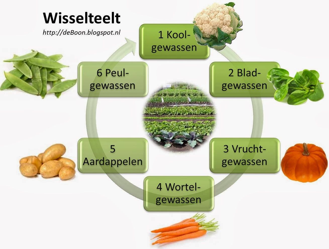 Zó maak je een Moestuinplan | Vruchtwisseling, Groententuin, Moestuin tips - Hoeveel Soorten Tomaten Zijn Er