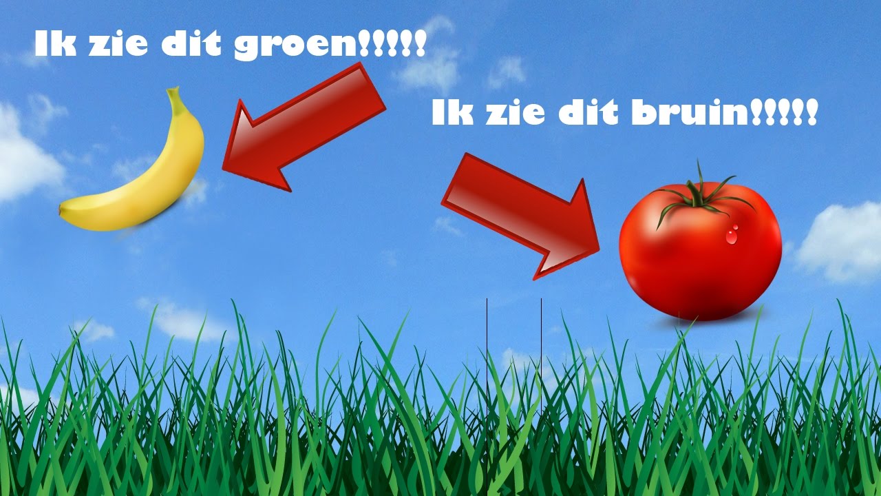 ZO ZIE IK ALS KLEURENBLINDE DE WERELD!!!! - YouTube - Hoe Ziet Een Kleurenblinde De Wereld